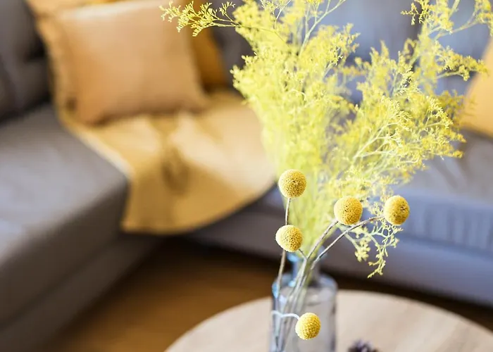 Apartman Allure Premium Zadar