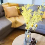 Apartman Allure Premium Zára