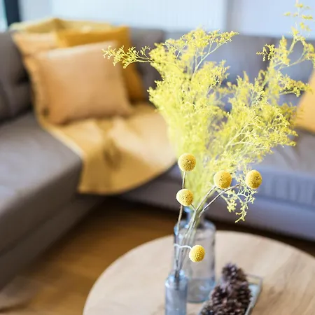 Apartman Allure Zára