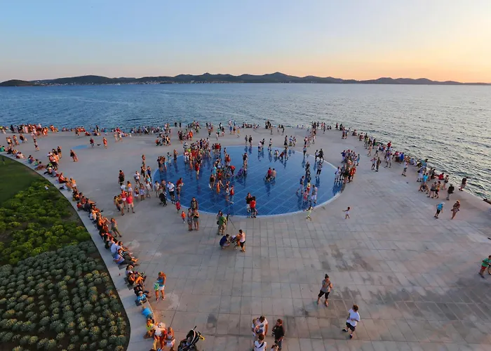 Allure Premium * זאדאר